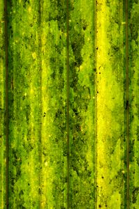 Preview wallpaper lines, stripes, green, background, abstraction