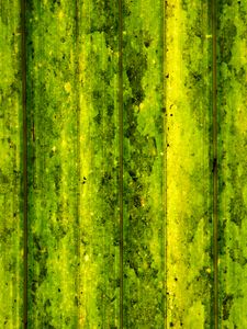 Preview wallpaper lines, stripes, green, background, abstraction