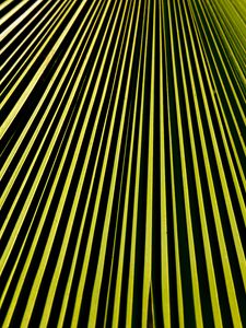 Preview wallpaper lines, stripes, green, black, abstraction