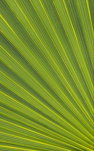 Preview wallpaper lines, stripes, leaf