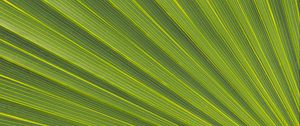 Preview wallpaper lines, stripes, leaf