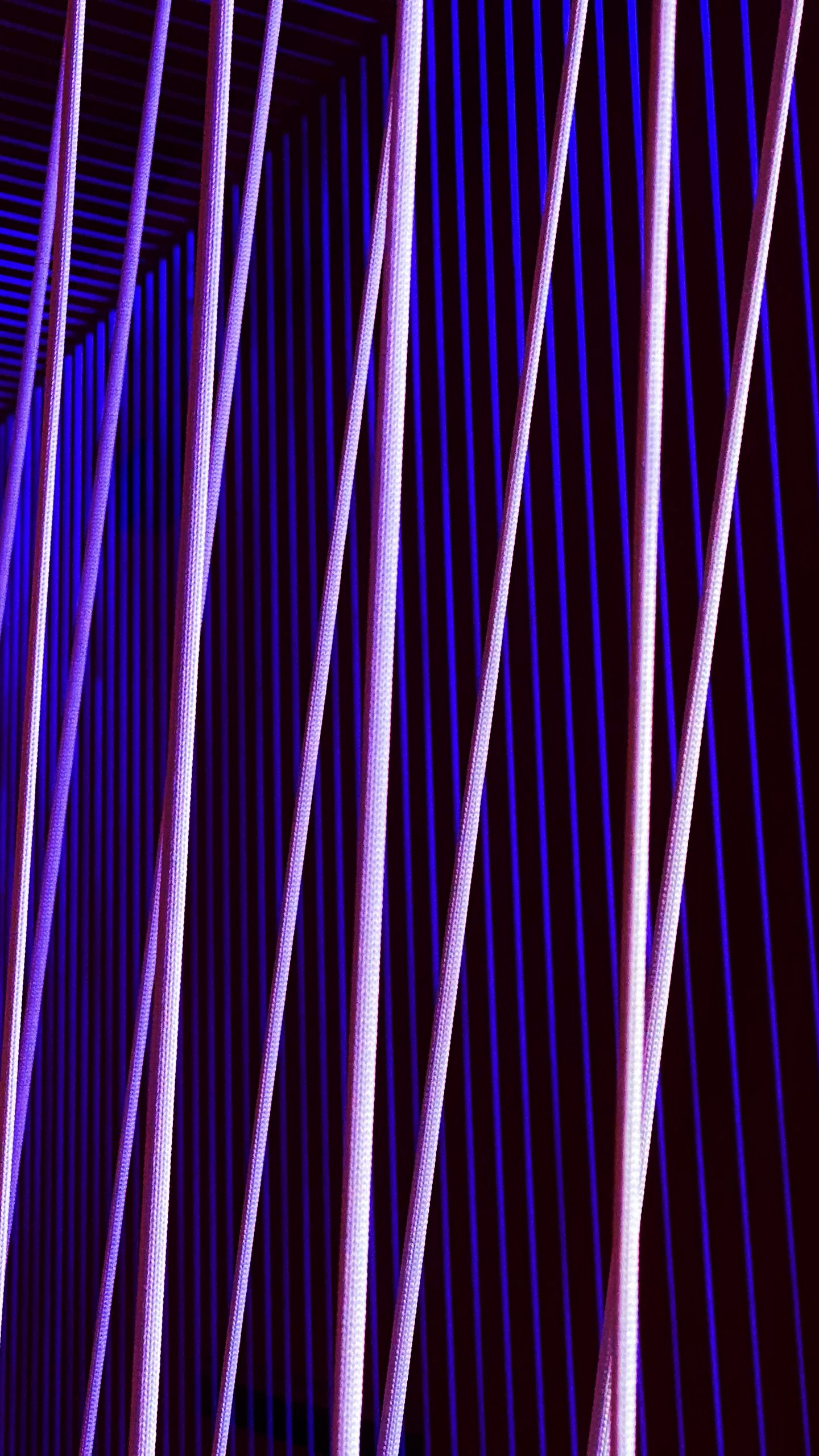 Neon stripes: Với hình ảnh Neon stripes bạn sẽ được trải nghiệm một không gian đầy màu sắc và đẹp mắt với những đường nét neon sáng lấp lánh. Xem hình để nhận thức được sự hoàn hảo và khả năng tạo ra những không gian cực kỳ cuốn hút của nghệ sĩ.