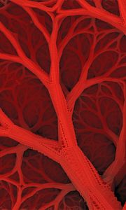 Preview wallpaper lines, structure, red, forms