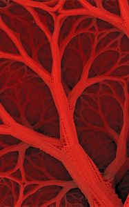 Preview wallpaper lines, structure, red, forms