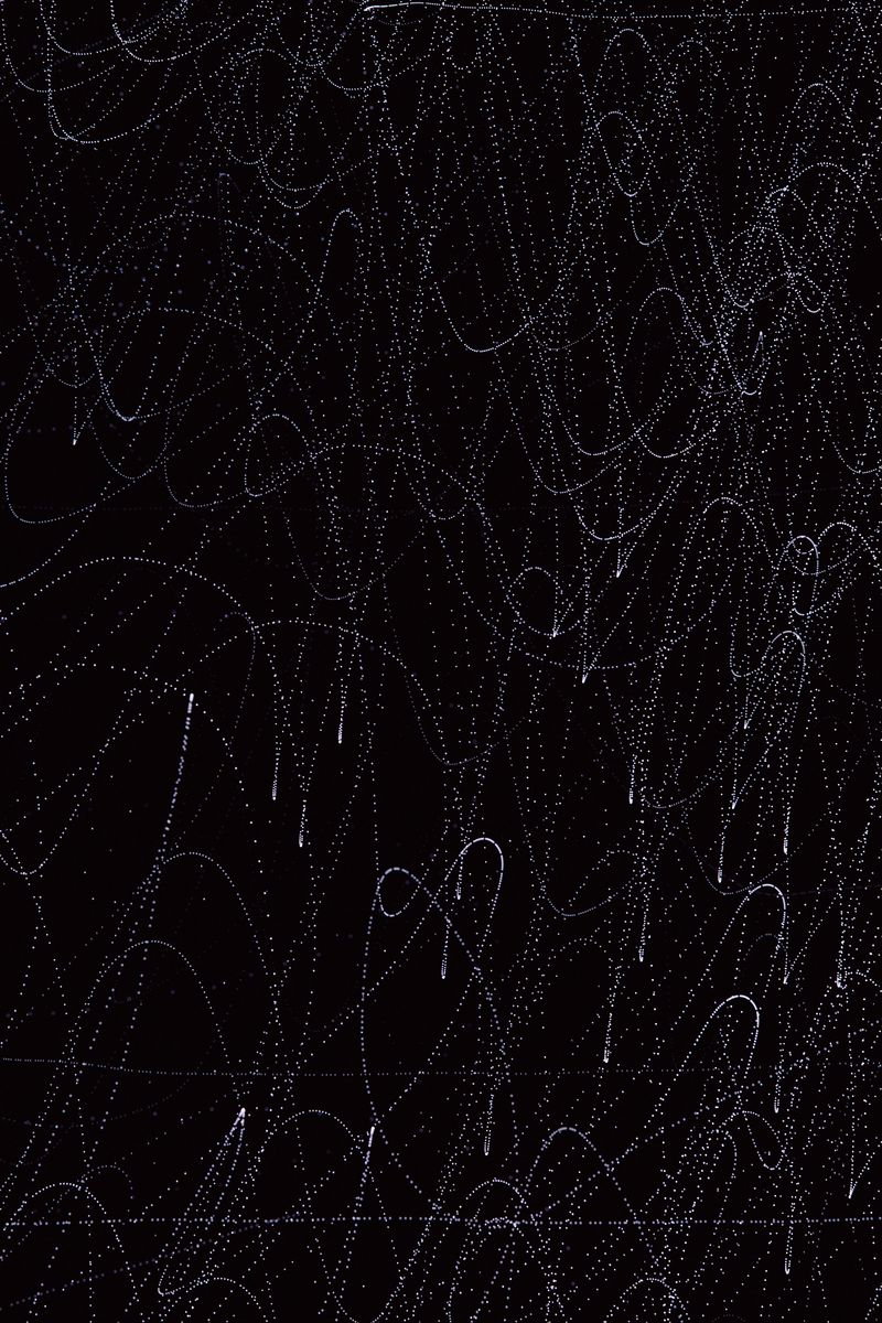 800x1200 Wallpaper lines, waves, intersection, black, abstraction