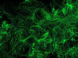 Preview wallpaper lines, waves, wavy, neon, green