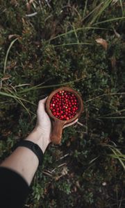 Preview wallpaper lingonberry, berries, hand, cup, wooden