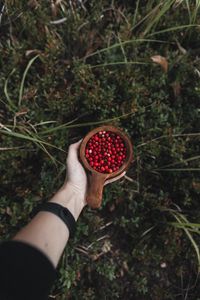 Preview wallpaper lingonberry, berries, hand, cup, wooden