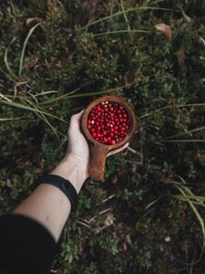 Preview wallpaper lingonberry, berries, hand, cup, wooden