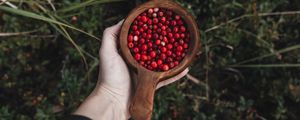 Preview wallpaper lingonberry, berries, hand, cup, wooden