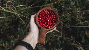 Preview wallpaper lingonberry, berries, hand, cup, wooden