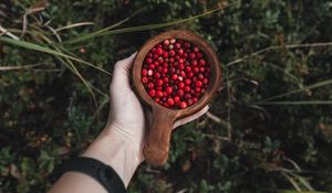 Preview wallpaper lingonberry, berries, hand, cup, wooden