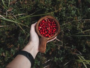 Preview wallpaper lingonberry, berries, hand, cup, wooden