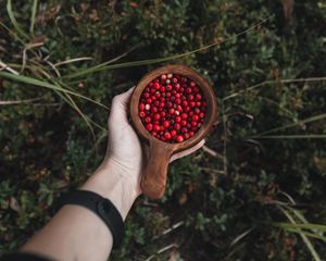 Preview wallpaper lingonberry, berries, hand, cup, wooden