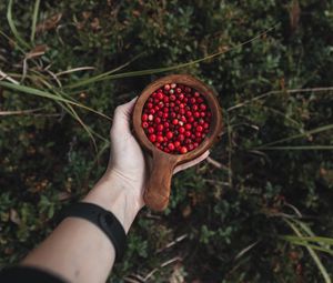 Preview wallpaper lingonberry, berries, hand, cup, wooden