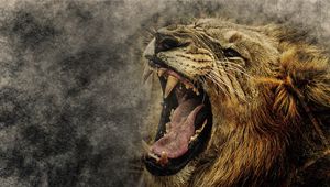 Preview wallpaper lion, art, grin, muzzle