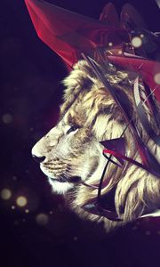 Preview wallpaper lion, burst, color, dark, line