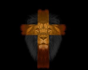 Preview wallpaper lion, cross, muzzle, dark
