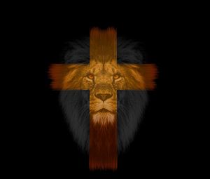 Preview wallpaper lion, cross, muzzle, dark