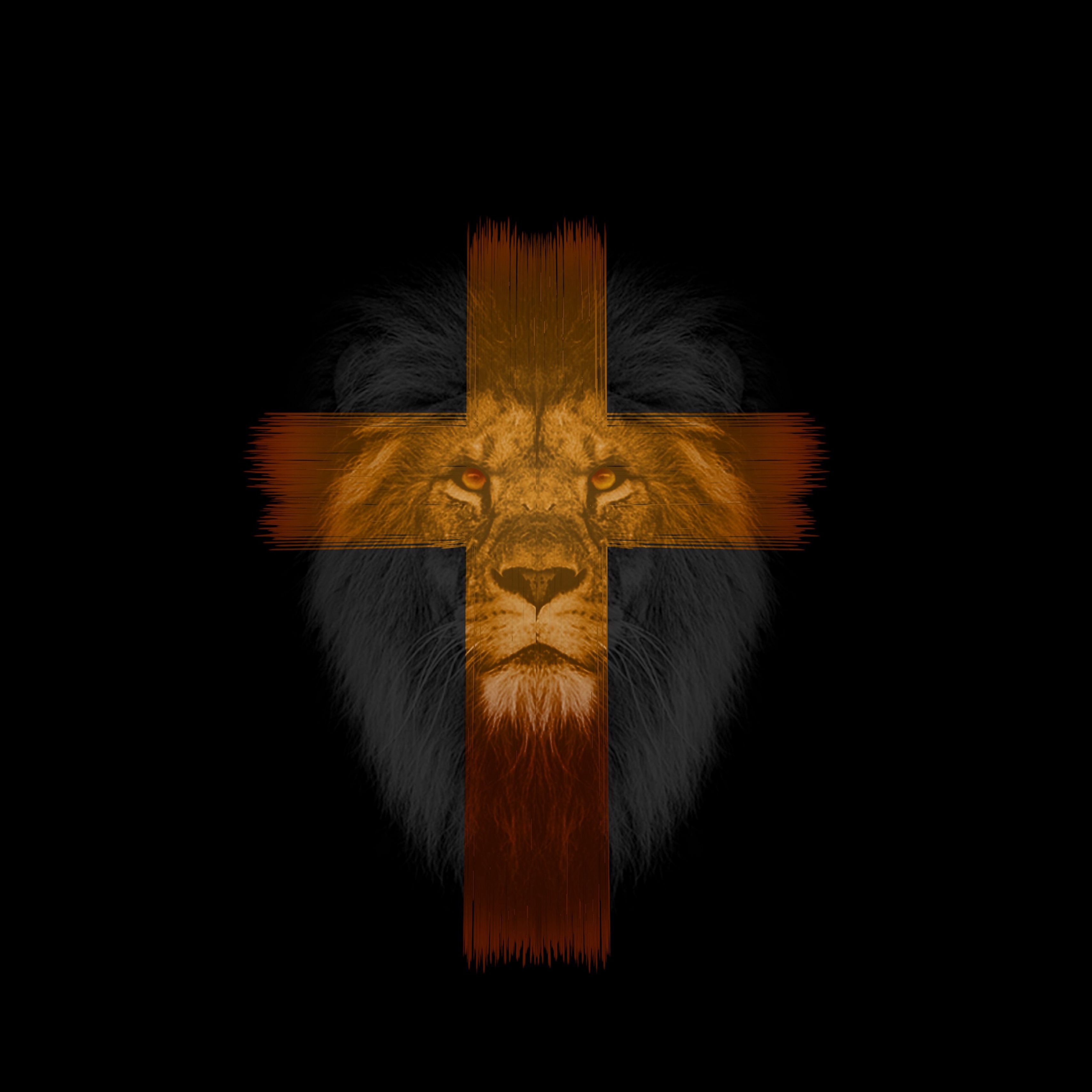 Download wallpaper 3415x3415 lion, cross, muzzle, dark ipad pro 