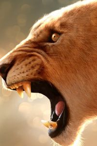 Preview wallpaper lion, face, glare, teeth, profile