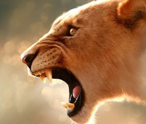 Preview wallpaper lion, face, glare, teeth, profile