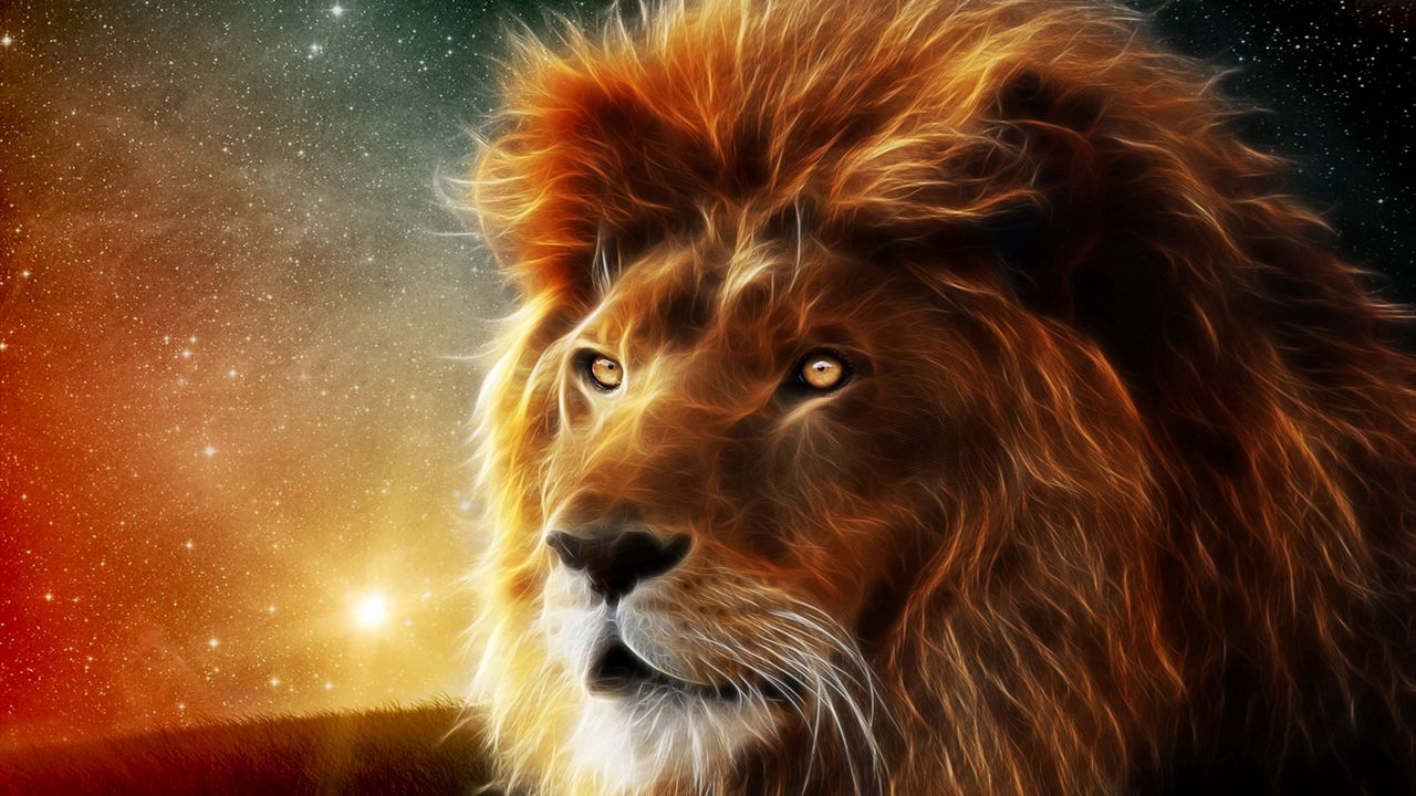 Wallpaper lion, face, mane, king of beasts, abstraction