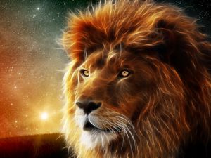 Lion pocket pc, pda wallpapers hd, desktop backgrounds 800x600, images and  pictures
