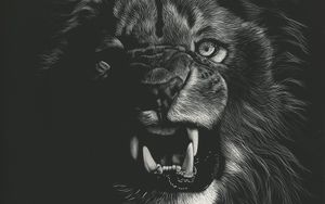 Preview wallpaper lion, grin, art, bw, drawing