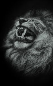 Preview wallpaper lion, grin, art, big cat, predator