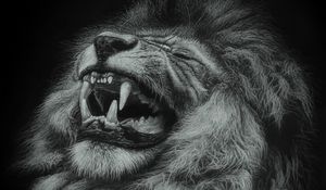 Preview wallpaper lion, grin, art, big cat, predator