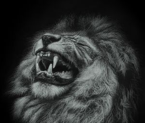 Preview wallpaper lion, grin, art, big cat, predator