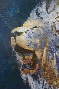 Preview wallpaper lion, grin, image, background