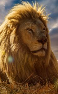 Preview wallpaper lion, king of beasts, mane, savannah