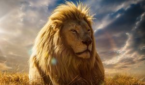 Preview wallpaper lion, king of beasts, mane, savannah