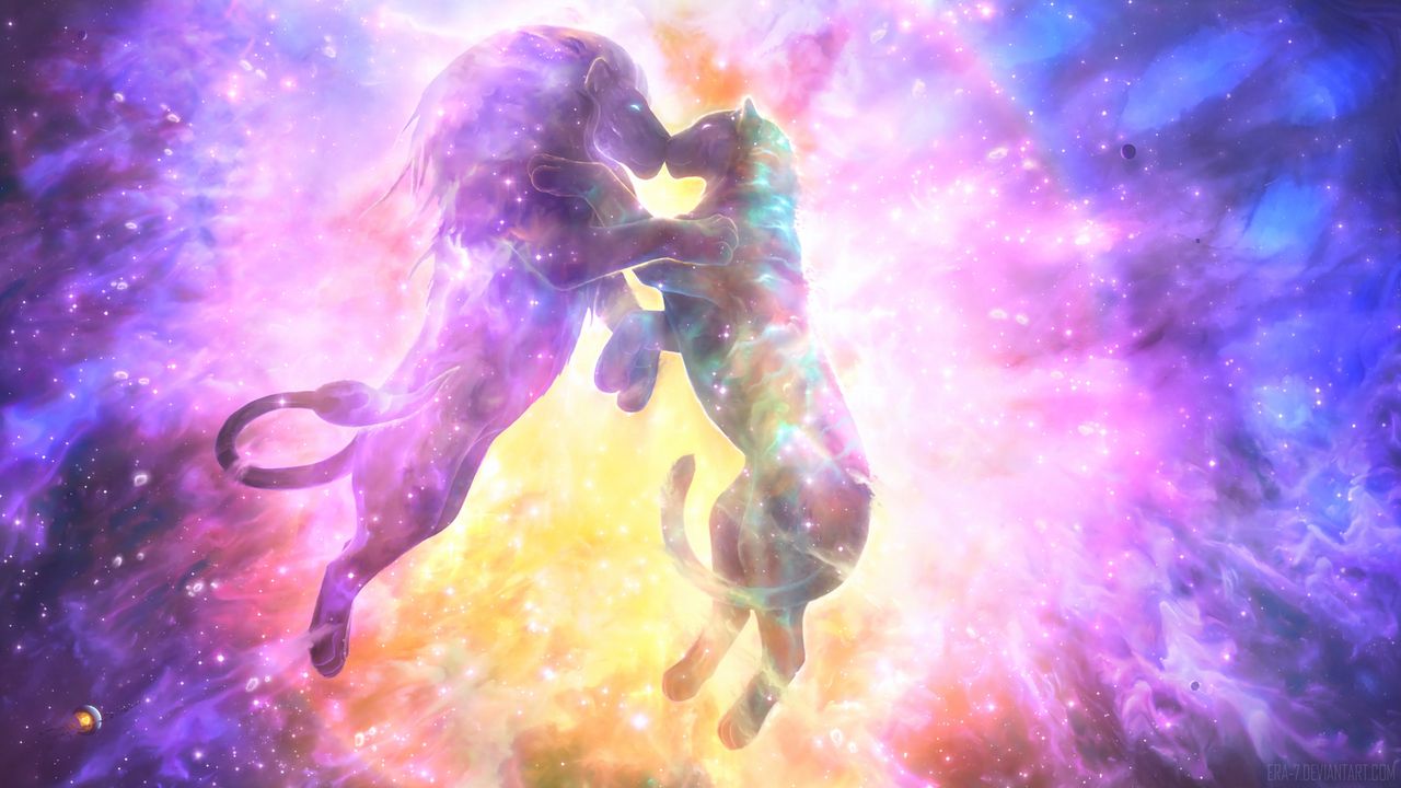 Wallpaper lion, lioness, kiss, silhouettes, space, starry sky