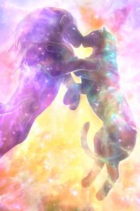 Preview wallpaper lion, lioness, kiss, silhouettes, space, starry sky