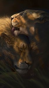 Preview wallpaper lion, lioness, love, cute