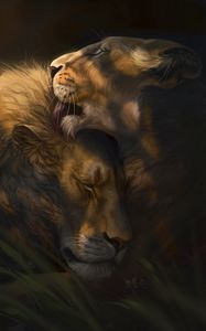 Preview wallpaper lion, lioness, love, cute