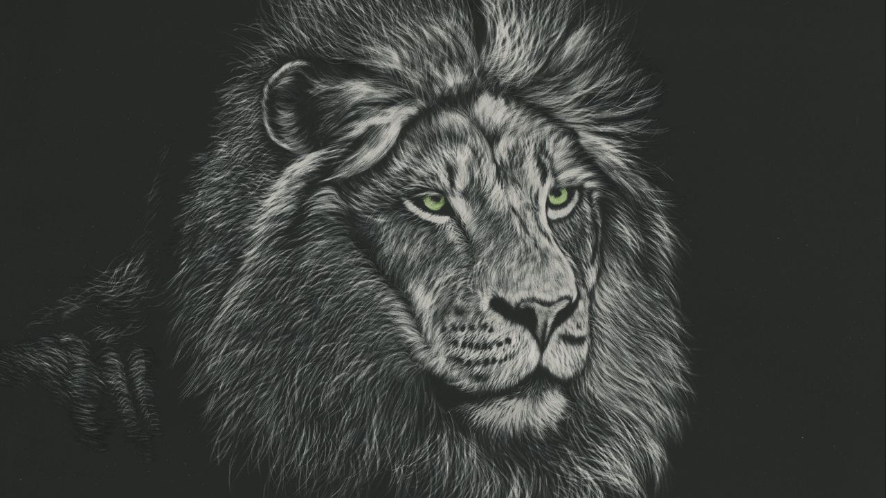 Wallpaper lion, mane, predator, king of beasts, art