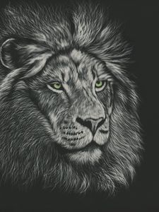 Preview wallpaper lion, mane, predator, king of beasts, art