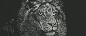 Preview wallpaper lion, mane, predator, king of beasts, art