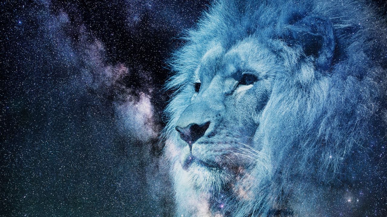 Wallpaper lion, muzzle, starry sky, stars, photoshop, king of beasts, predator