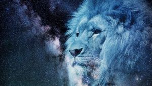 Preview wallpaper lion, muzzle, starry sky, stars, photoshop, king of beasts, predator