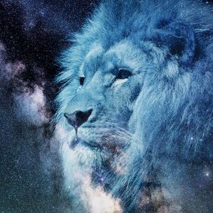 Preview wallpaper lion, muzzle, starry sky, stars, photoshop, king of beasts, predator