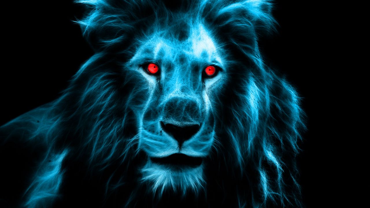 Wallpaper lion, predator, big cat, eyes, mane