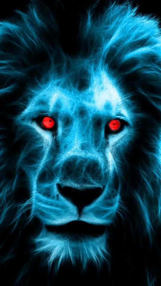 Lion Wallpapers Full Hd On Wallpaper 1080p HD | Lion wallpaper, Abstract  lion, Lion hd wallpaper