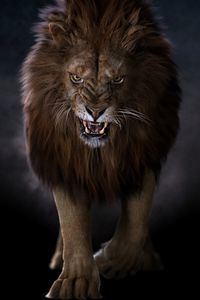 Preview wallpaper lion, predator, big cat, fangs, glance