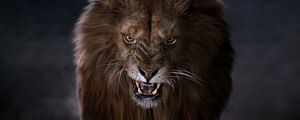 Preview wallpaper lion, predator, big cat, fangs, glance