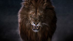 Preview wallpaper lion, predator, big cat, fangs, glance